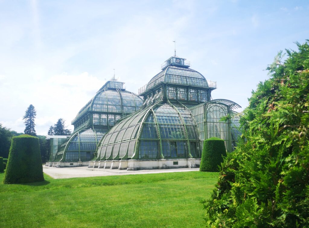 Schattig und Grün - das Palmenhaus im Schloßpark Schönbrunn